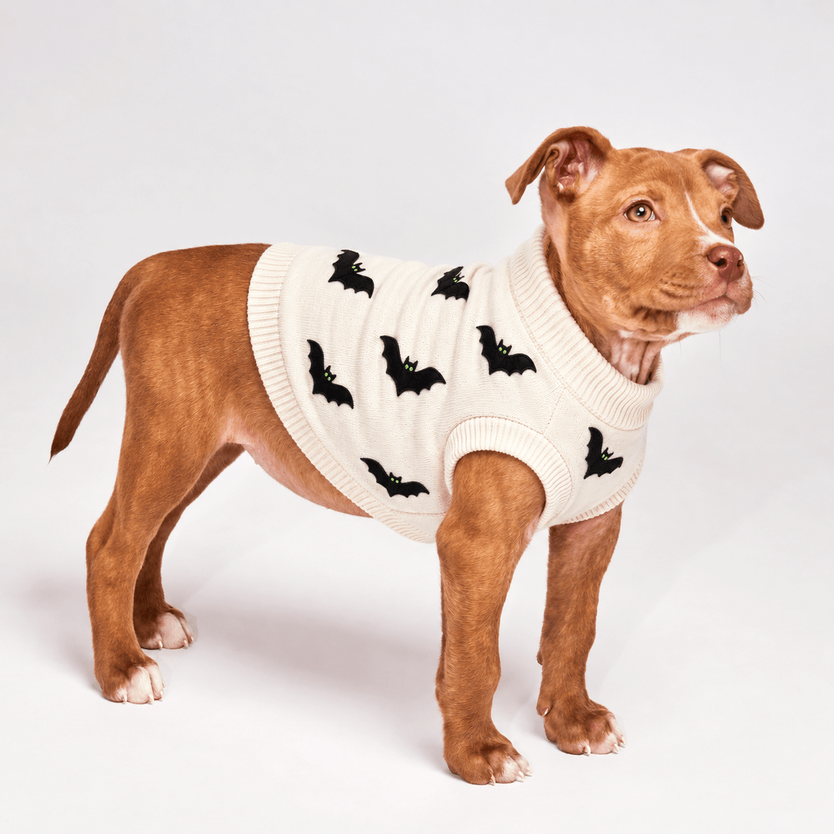Found My Animal Bat Dog Sweater