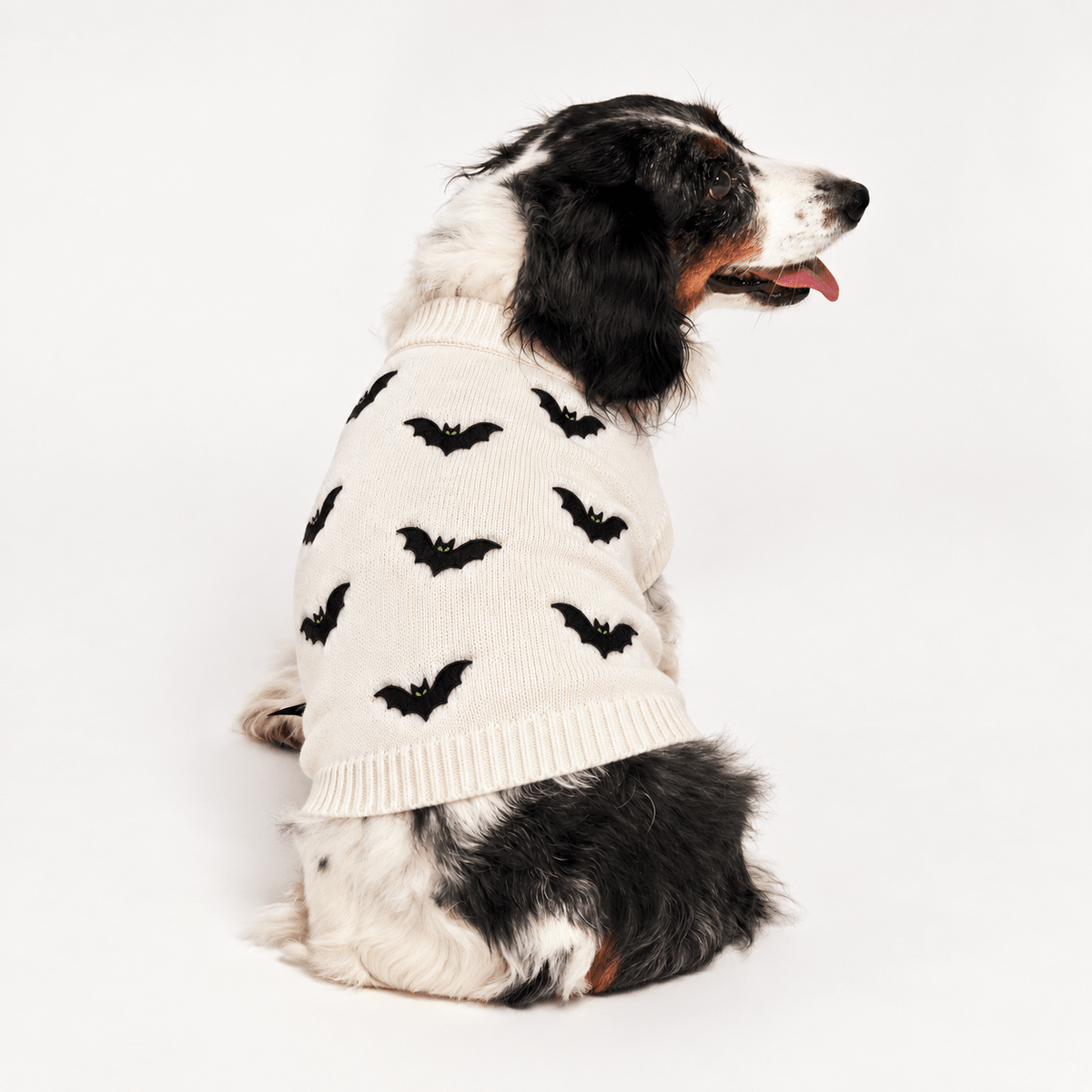 Found My Animal Bat Dog Sweater