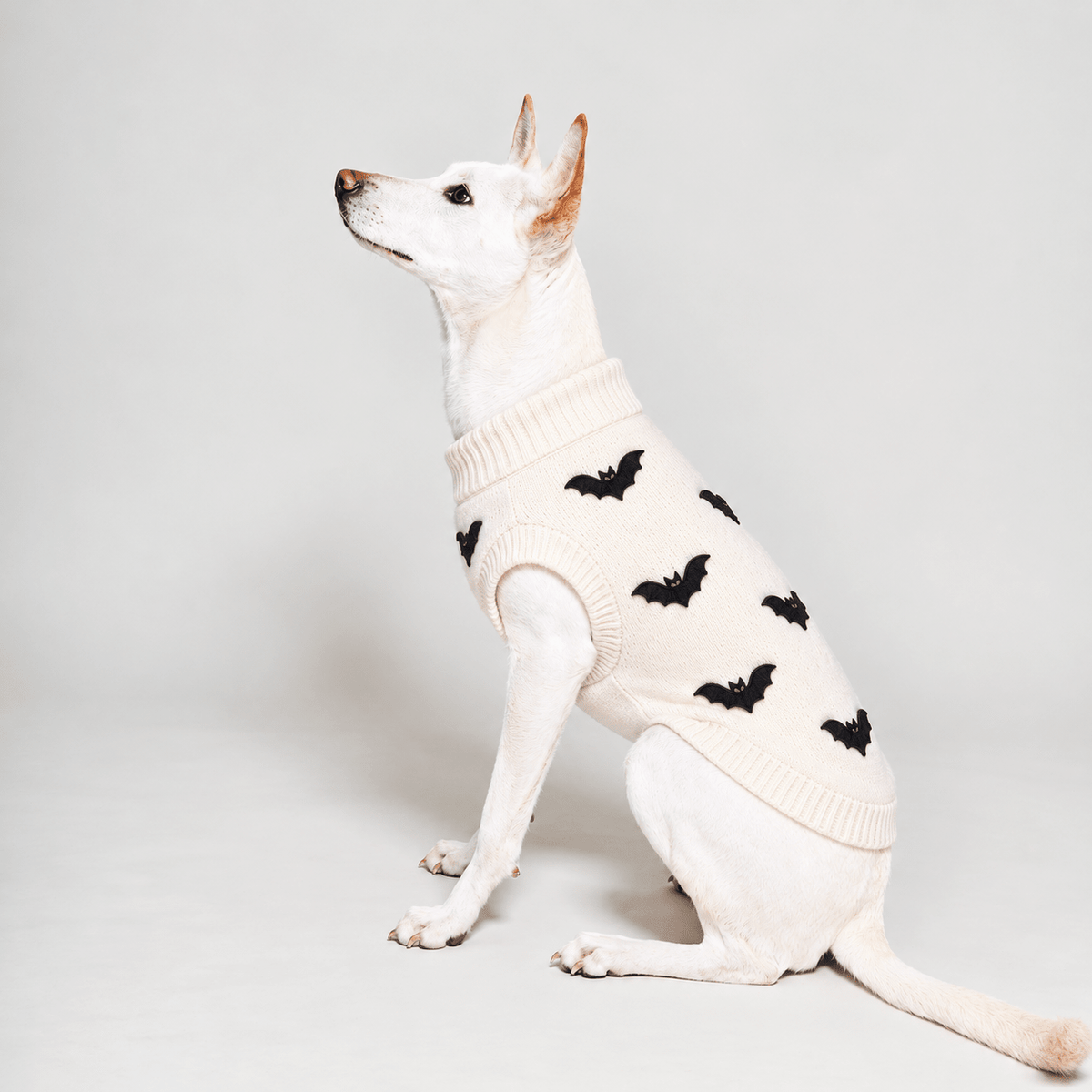 Found My Animal Bat Dog Sweater
