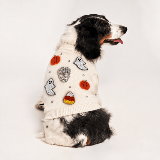 Found My Animal Bead Icon Ghost Sweater