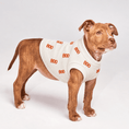 Load image into Gallery viewer, Found My Animal BOO Dog Sweater
