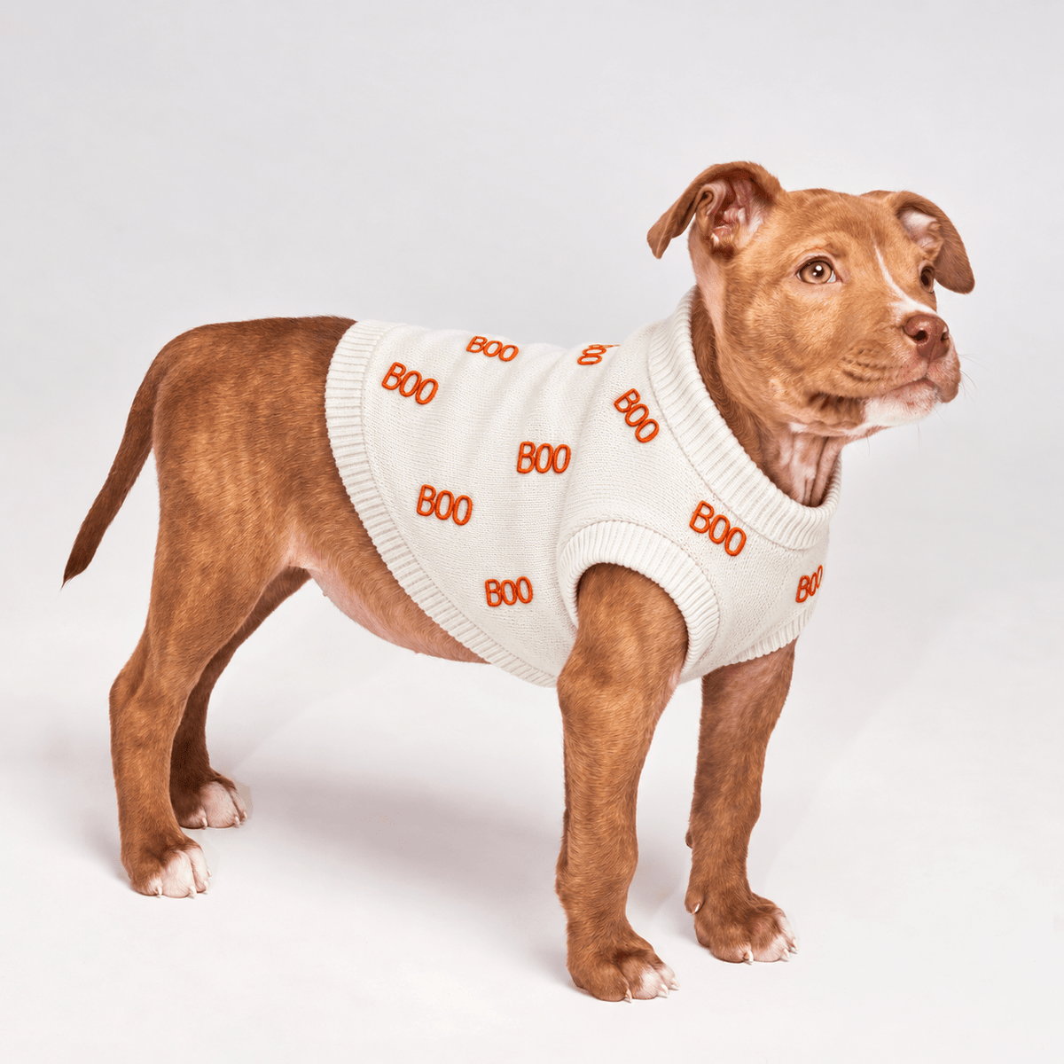 Found My Animal BOO Dog Sweater