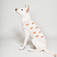 Load image into Gallery viewer, Found My Animal BOO Dog Sweater
