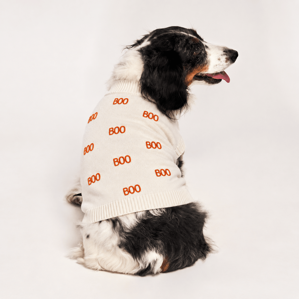 Found My Animal BOO Dog Sweater