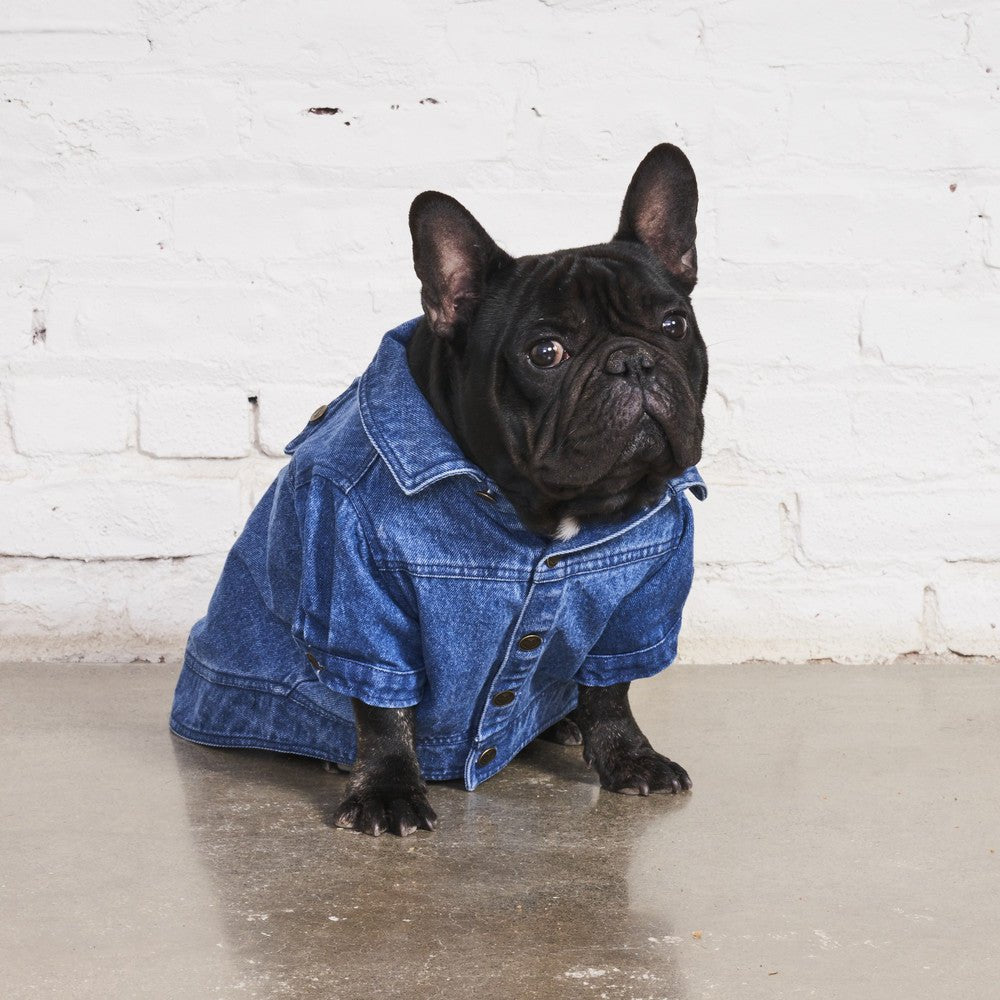 Apparel & Accessories Premium Found My Animal Denim Coat