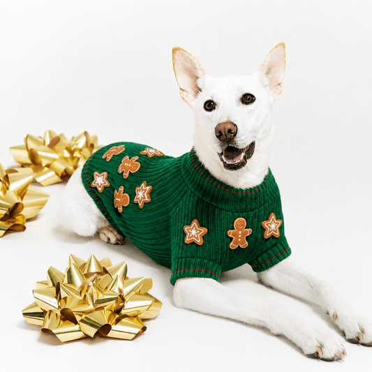 Found My Animal Gingerbread Cookie Dog Sweater