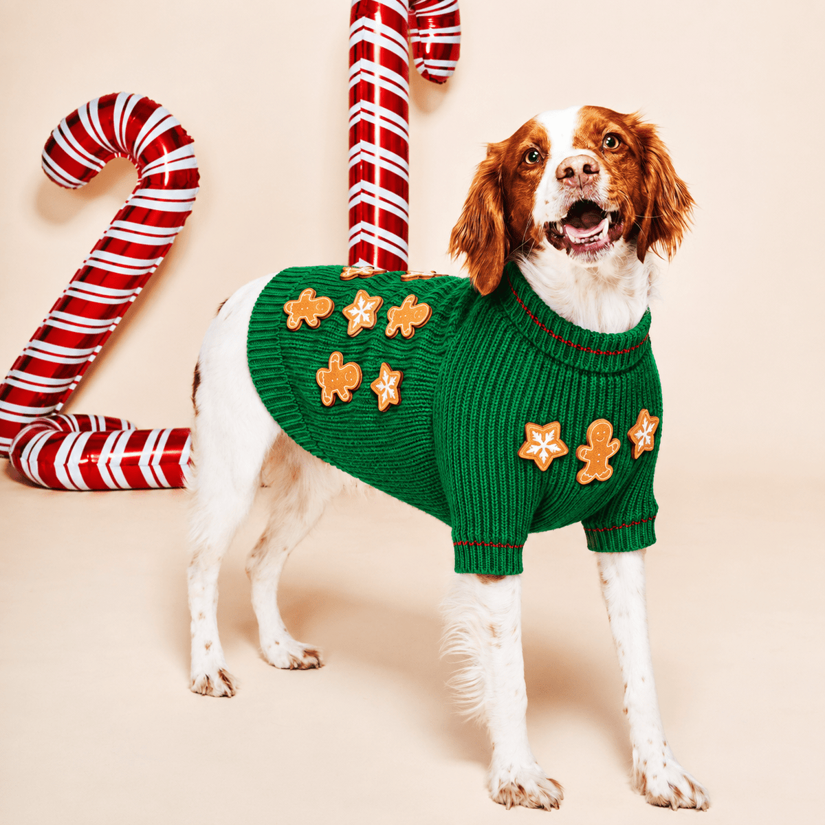 Found My Animal Gingerbread Cookie Dog Sweater