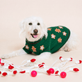 Load image into Gallery viewer, Found My Animal Gingerbread Cookie Dog Sweater
