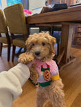 Load image into Gallery viewer, Puffers, Hoodies, Coats Premium Found My Animal Hotdog 3D Icon Sweater
