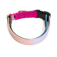 Load image into Gallery viewer, Found My Animal Jolie Flat Web Dog Collar
