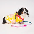 Load image into Gallery viewer, Dog & Cat Harnesses Premium Jolie Webbing Dog Harness – Durable, Adjustable & Stylish | Found My Animal
