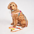 Load image into Gallery viewer, Dog & Cat Harnesses Premium Jolie Webbing Dog Harness – Durable, Adjustable & Stylish | Found My Animal
