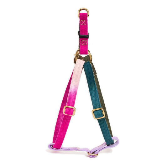 Dog & Cat Harnesses Premium Jolie Webbing Dog Harness – Durable, Adjustable & Stylish | Found My Animal
