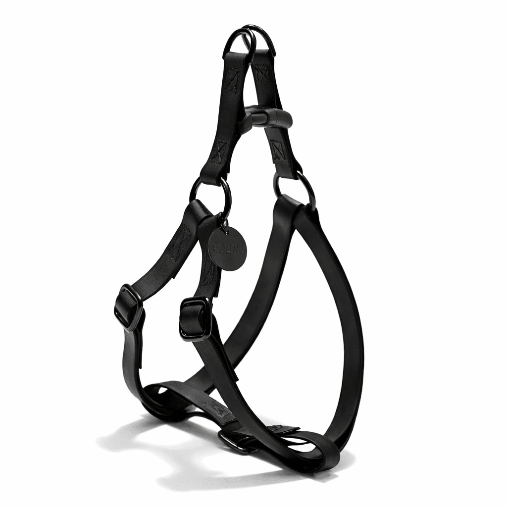 Found My Animal Leather Alternative All-Weather Cotton Dog & Cat Harness – Matte Black Hardware, Adjustable, Durable & Stylish