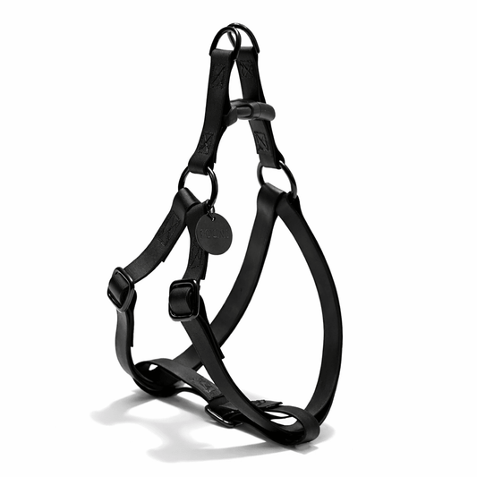 Found My Animal Leather Alternative All-Weather Cotton Dog & Cat Harness – Matte Black Hardware, Adjustable, Durable & Stylish