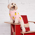 Load image into Gallery viewer, Puffers, Hoodies, Coats Premium Found My Animal Lemon 3D Icon Sweater
