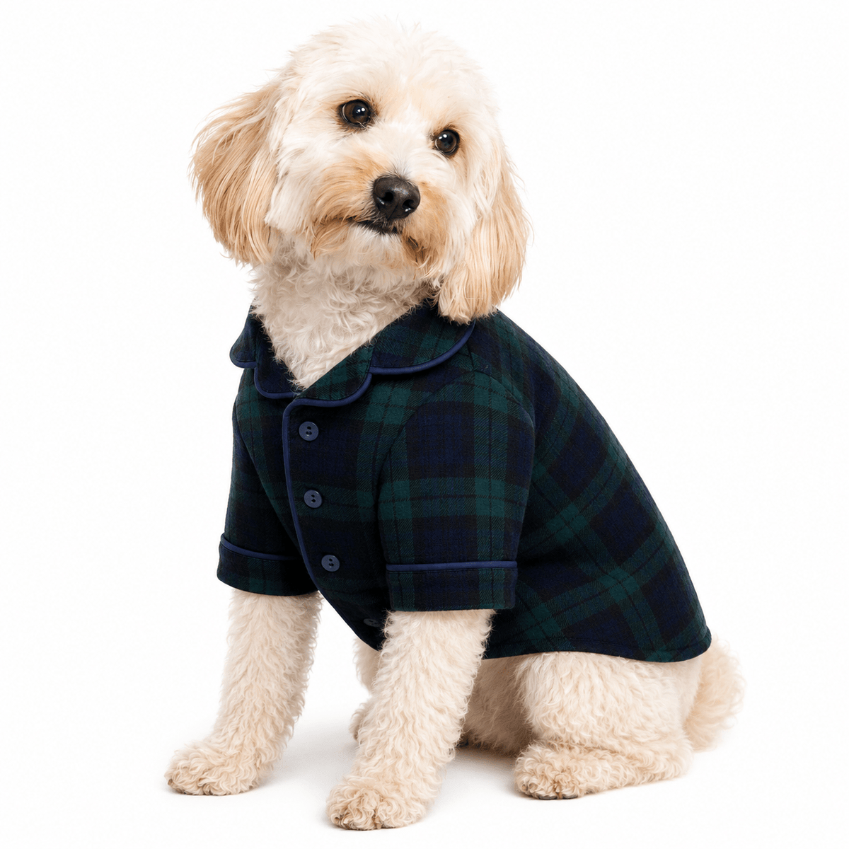 Found My Animal Plaid Pajama, Blackwatch