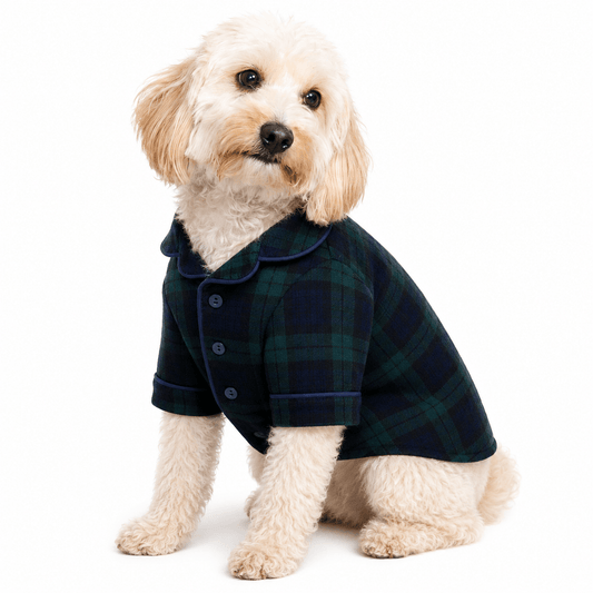 Found My Animal Plaid Pajama, Blackwatch