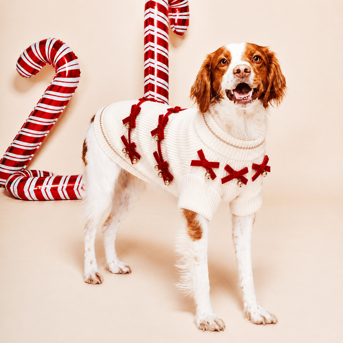 Found My Animal Red Ribbon Dog Sweater