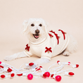 Load image into Gallery viewer, Found My Animal Red Ribbon Dog Sweater
