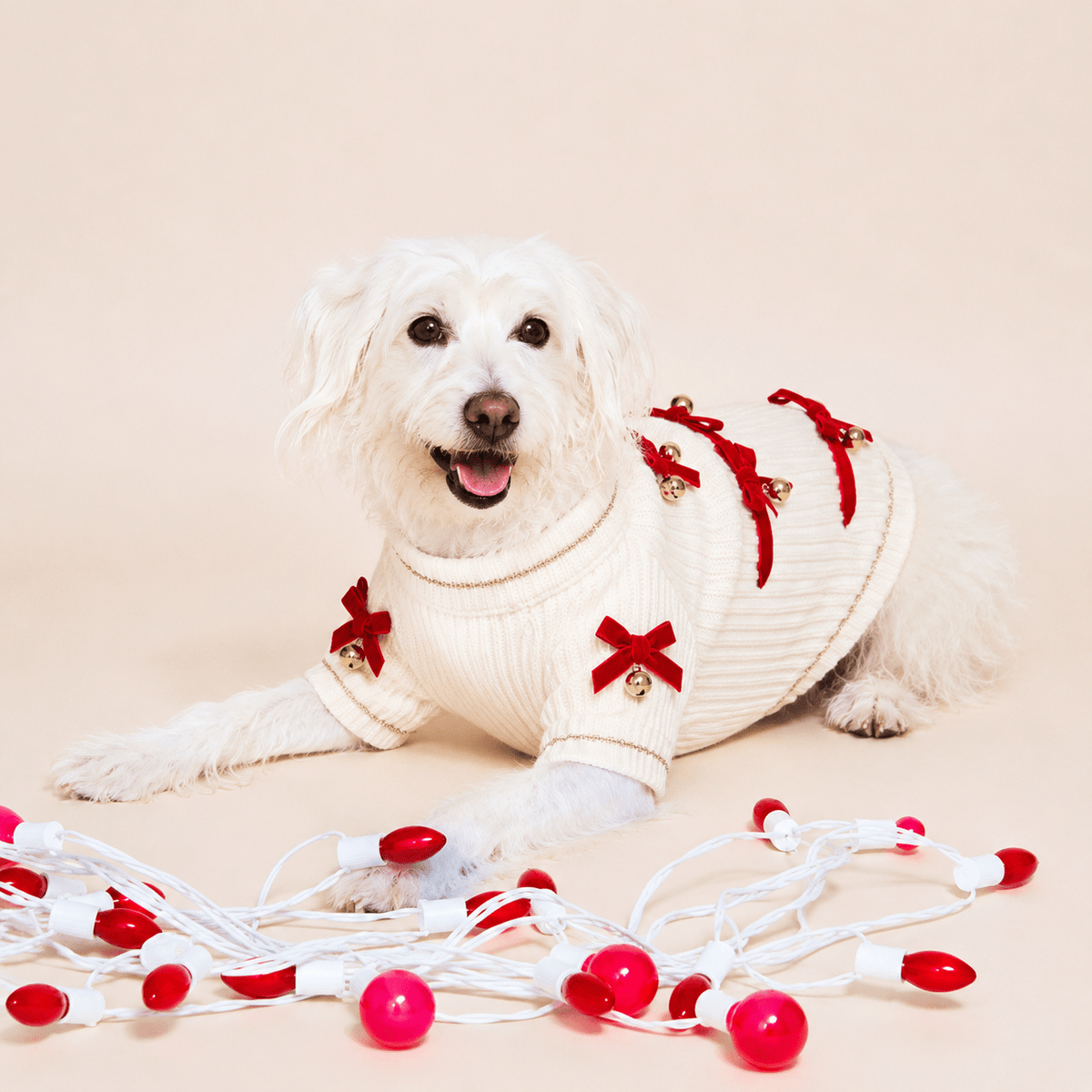 Found My Animal Red Ribbon Dog Sweater
