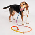 Load image into Gallery viewer, Soleil Cotton Rope Dog Leash by Found My Animal | Adjustable & Handcrafted
