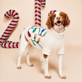 Load image into Gallery viewer, Found My Animal Vintage Lights LED Dog Sweater
