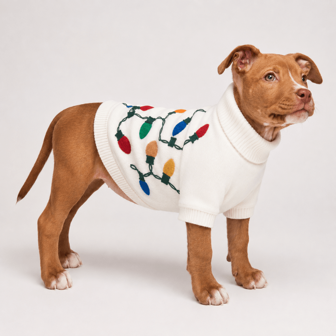 Found My Animal Vintage Lights LED Dog Sweater