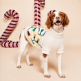 Load image into Gallery viewer, Found My Animal Vintage Lights LED Dog Sweater
