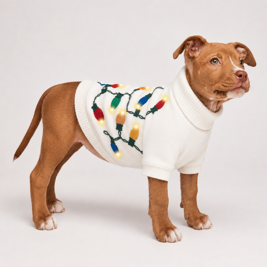 Found My Animal Vintage Lights LED Dog Sweater