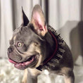 Load image into Gallery viewer, "Danger" collar
