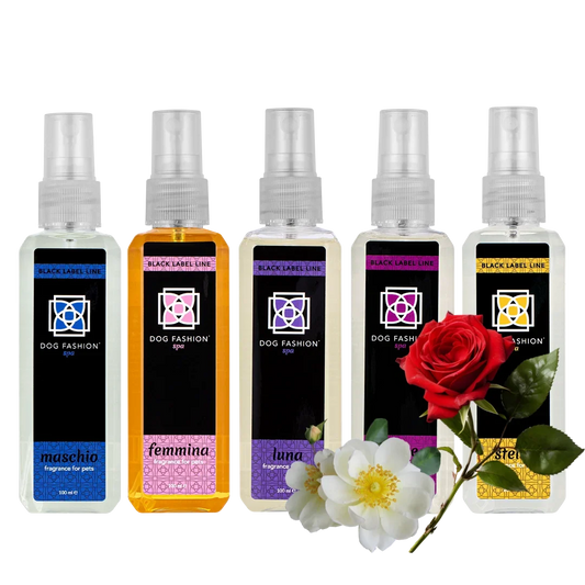 Five Best-Selling Fragrances 100ml Bundle By Dog Fashion Spa