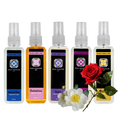 Load image into Gallery viewer, Five Best-Selling Fragrances 100ml Bundle By Dog Fashion Spa
