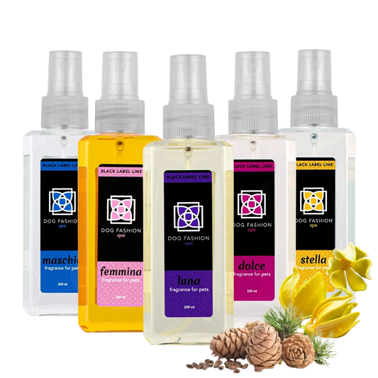 Five Best Selling Fragrances 200ml by Dog Fashion Spa Bundle