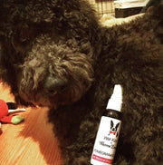 Wet Kiss Dog Cologne By Warren London - 2 Oz or 16 Oz