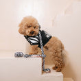 Load image into Gallery viewer, Frenchie Dog Hoodie - Zebra
