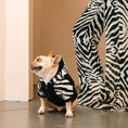Load image into Gallery viewer, Frenchie Dog Hoodie - Zebra
