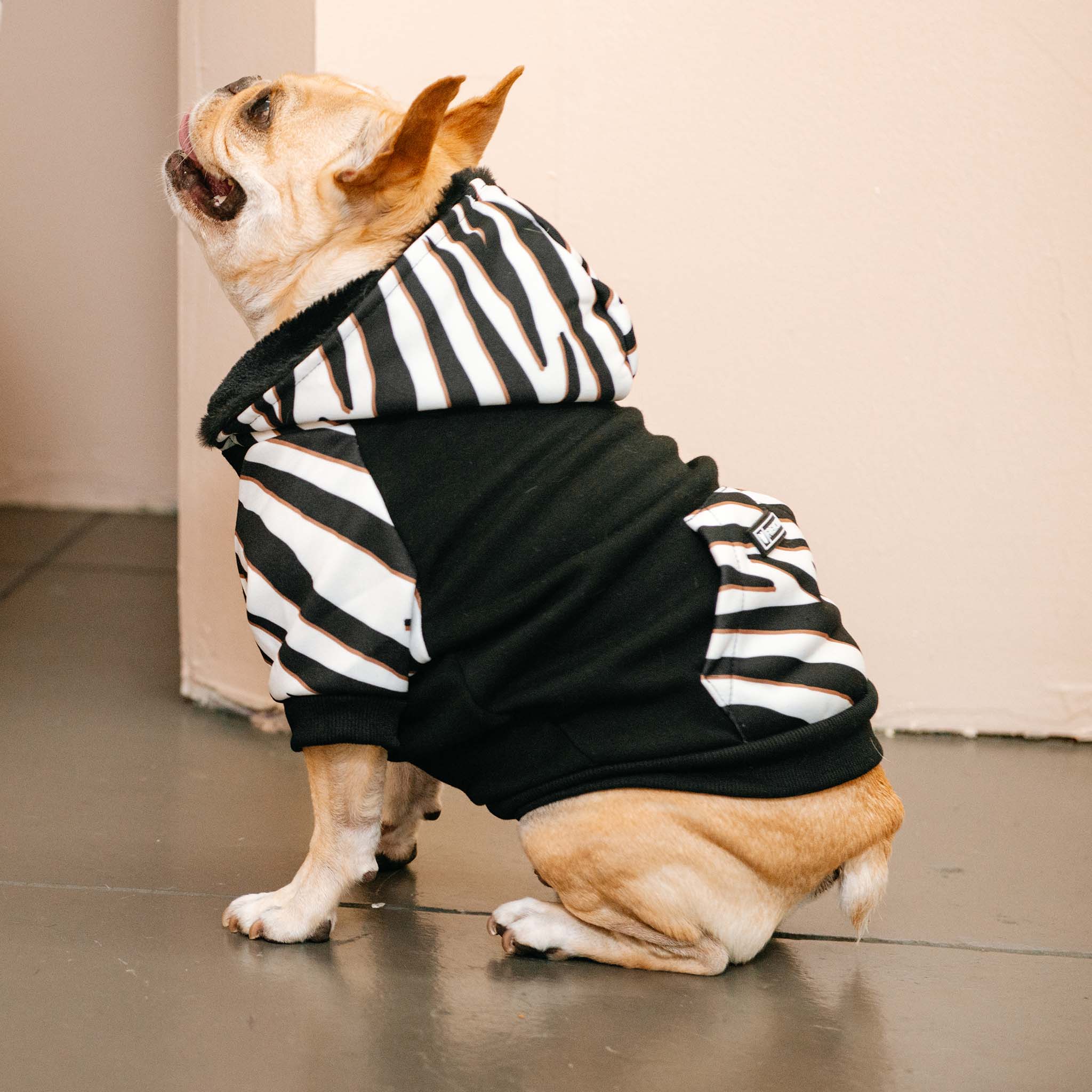 Frenchie Dog Hoodie - Zebra