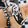 Load image into Gallery viewer, Frenchie Duo Reversible Harness - Earthy Tie Dye 
