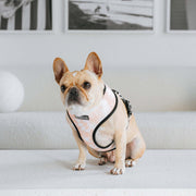 Frenchie Duo Reversible Harness - Earthy Tie Dye 