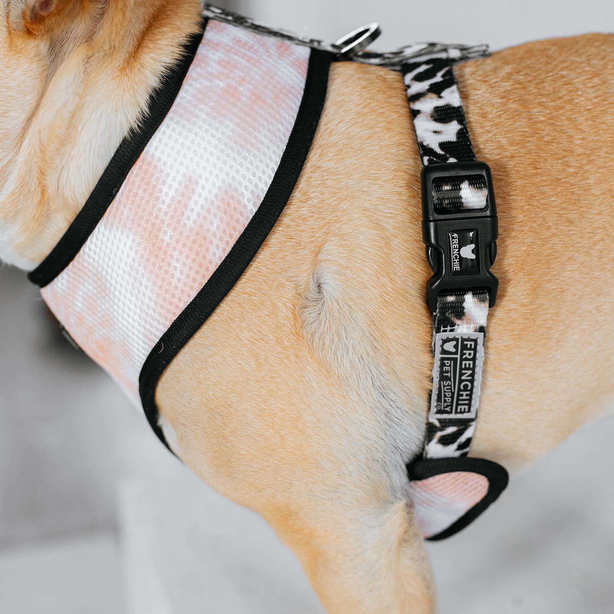 Frenchie Duo Reversible Harness - Earthy Tie Dye 