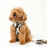 Frenchie Duo Reversible Harness - Earthy Tie Dye 