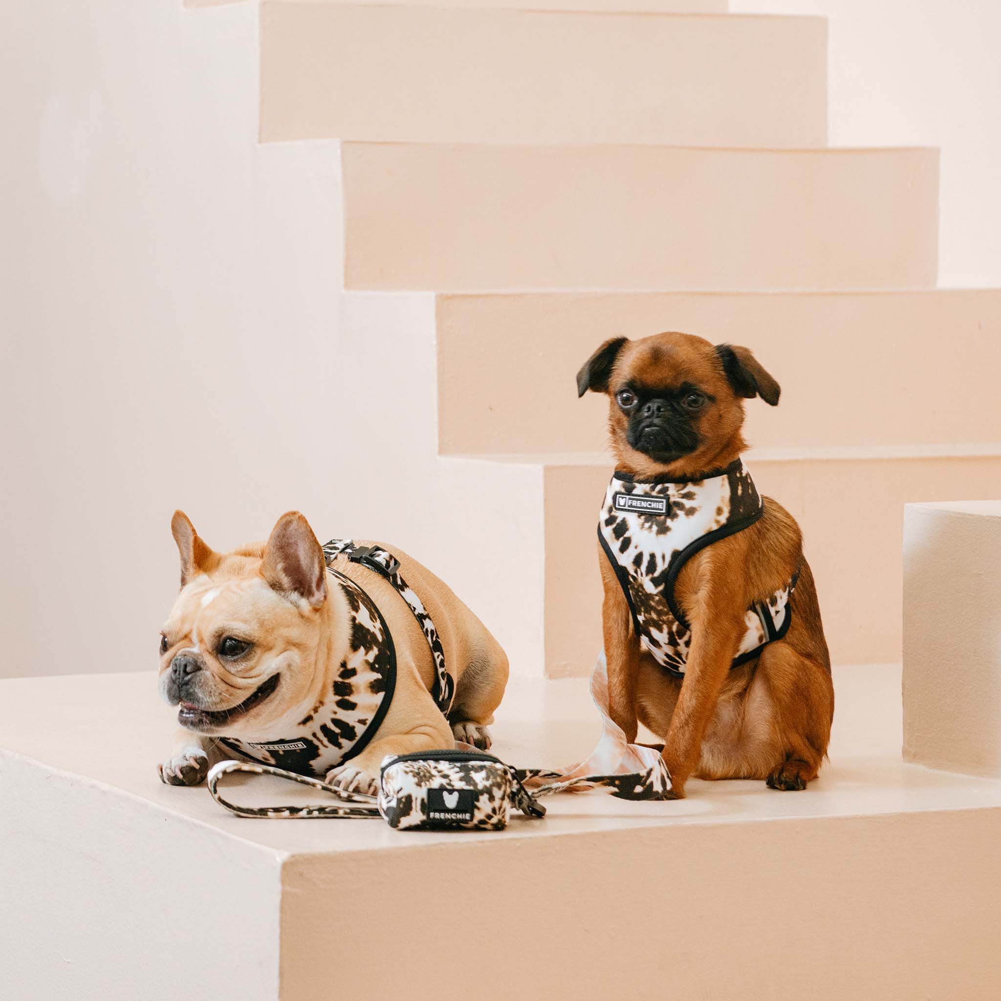 Frenchie Duo Reversible Harness - Earthy Tie Dye 