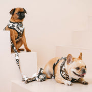 Frenchie Duo Reversible Harness - Earthy Tie Dye 