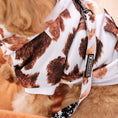 Load image into Gallery viewer, Frenchie Dog Hoodie - Moo
