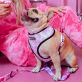 Load image into Gallery viewer, Frenchie Duo Reversible Harness - Pink Tie Dye 
