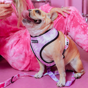 Frenchie Duo Reversible Harness - Pink Tie Dye 
