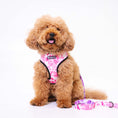 Load image into Gallery viewer, Frenchie Duo Reversible Harness - Pink Tie Dye 

