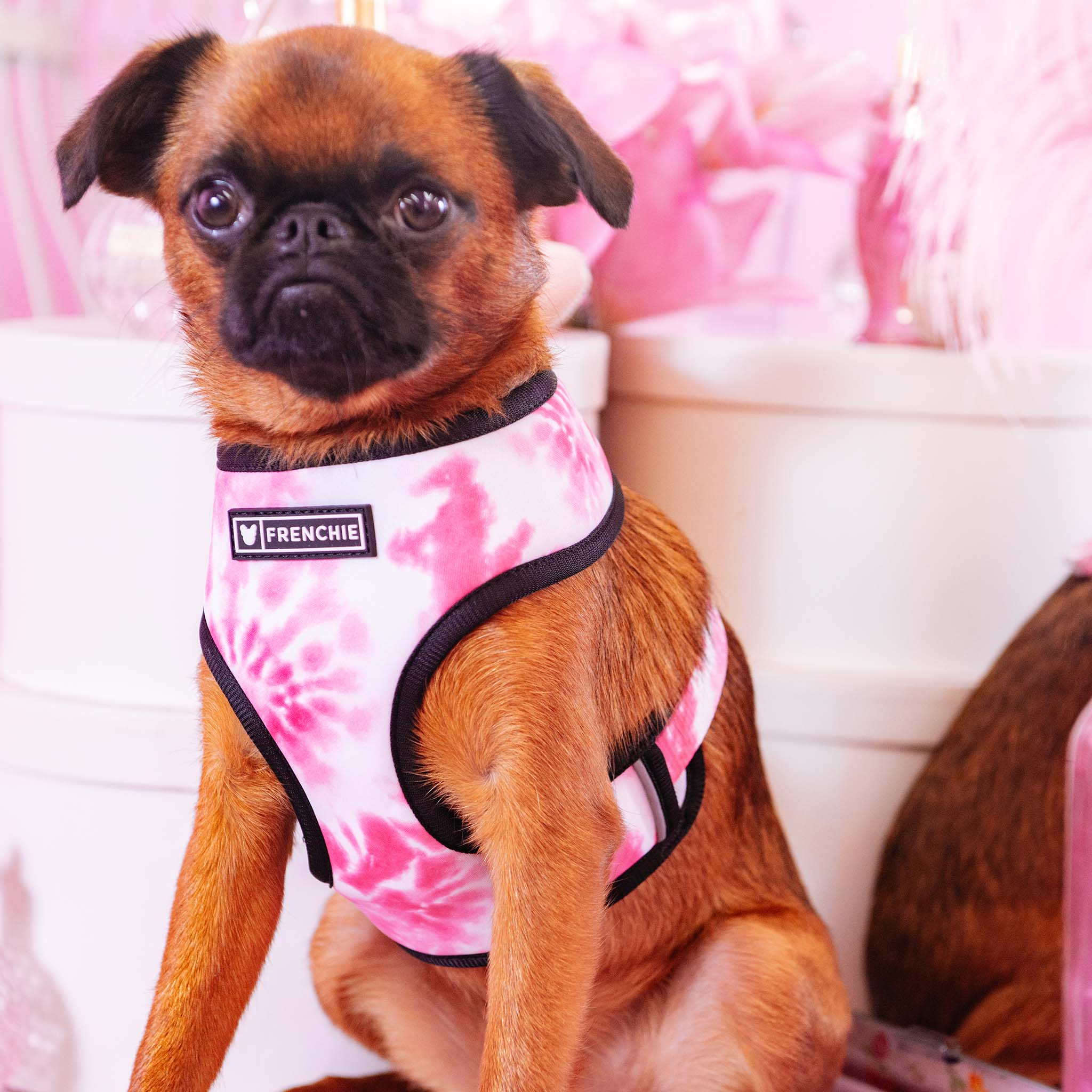 Frenchie Duo Reversible Harness - Pink Tie Dye 