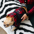 Load image into Gallery viewer, Frenchie Dog Hoodie - Red Tartan
